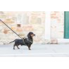 Axaeco 4 Season Leash S 16mm x 1,2m guinzaglio in nylon alta visibilità