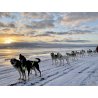 Axaeco X Shirt Harness imbracatura per sleddog e canicross