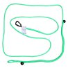 Axaeco Canicross / Ski Joring Linea 1 cane verde fluo