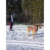 Axaeco Canicross / Ski Joring Linea 1 cane