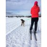 Axaeco Canicross / Ski Joring Linea 1 cane