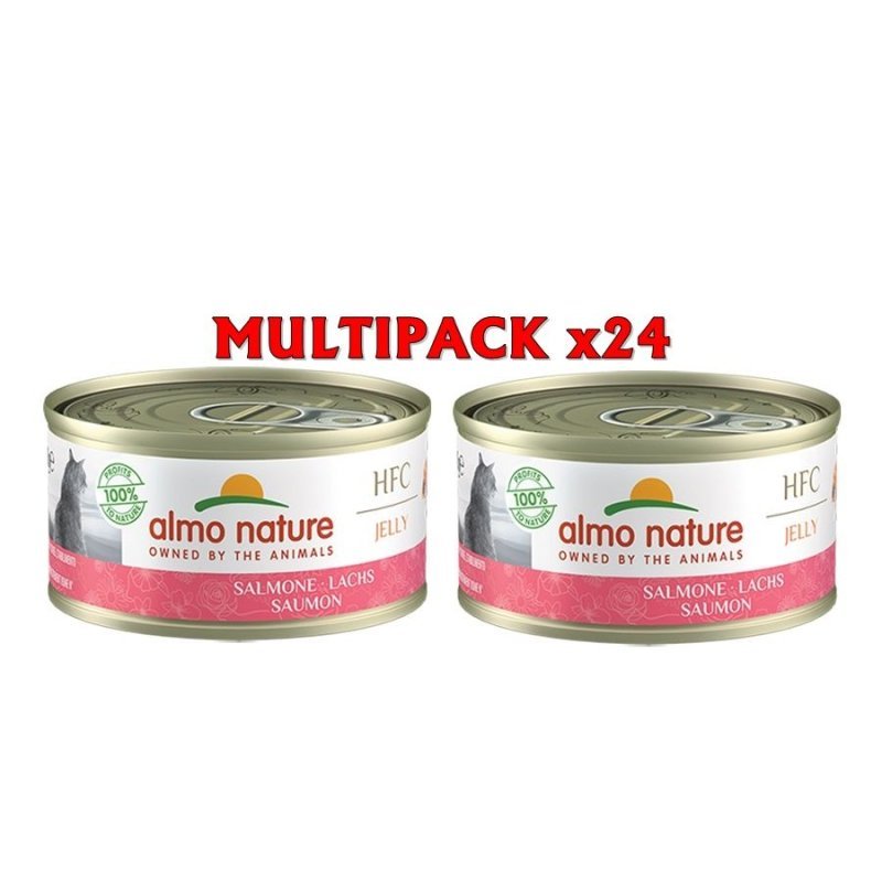 Almo Nature HFC Jelly Salmone 24x 70g umido gatto