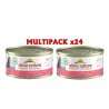 Almo Nature HFC Jelly Salmone 24x 70g umido gatto