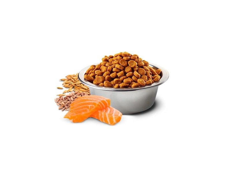 N&D Tropical Mini Adult Salmone 1,5kg crocchette cane con frutta tropicale