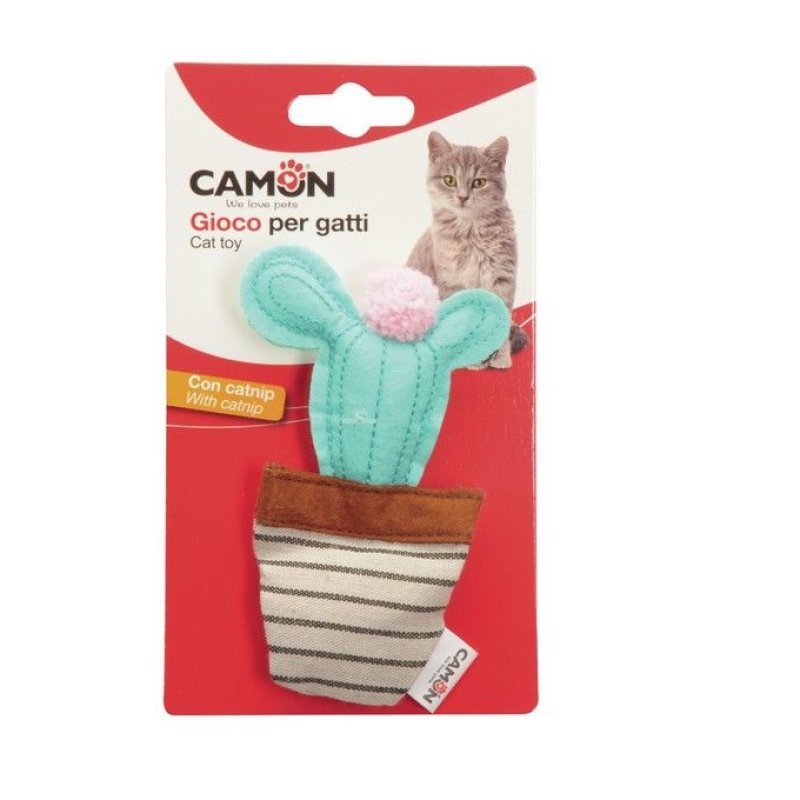 Camon Gioco cactus in vasetti