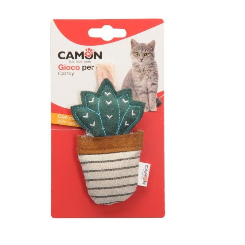 Camon Gioco cactus in vasetti