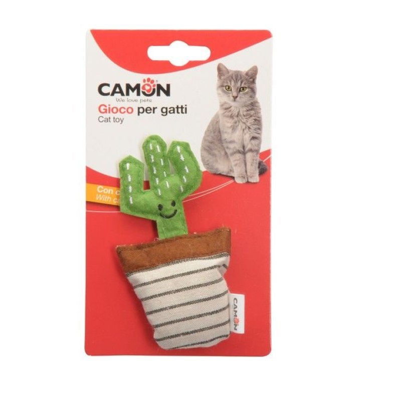 Camon Gioco cactus in vasetti