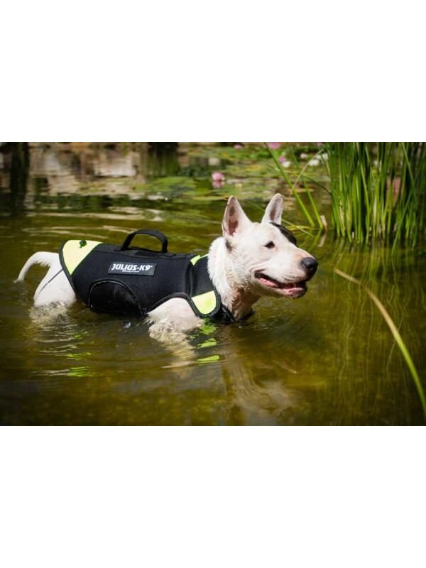 Julius K9 Swimming Multifunctional Harness in neoprene salvagente per cani 3 in 1