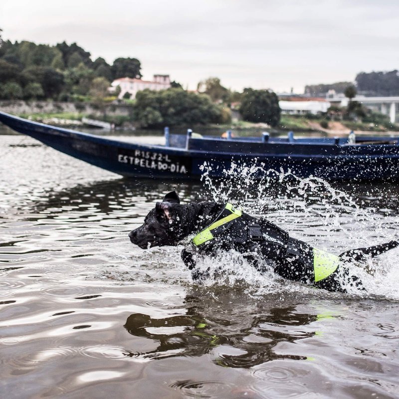 Julius K9 Swimming Multifunctional Harness in neoprene salvagente per cani 3 in 1