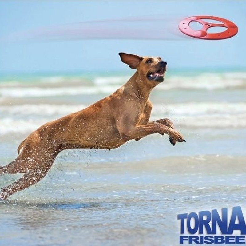 Record Tornado Frisbee per cani Record Tornado Frisbee per cani