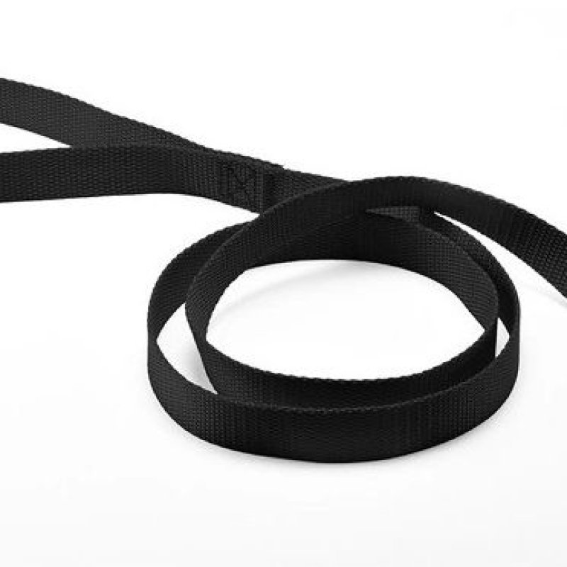 Record Guinzaglio Basic per cani in nylon