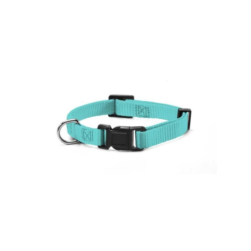 Record Collare in Nylon con clip in plastica per cani