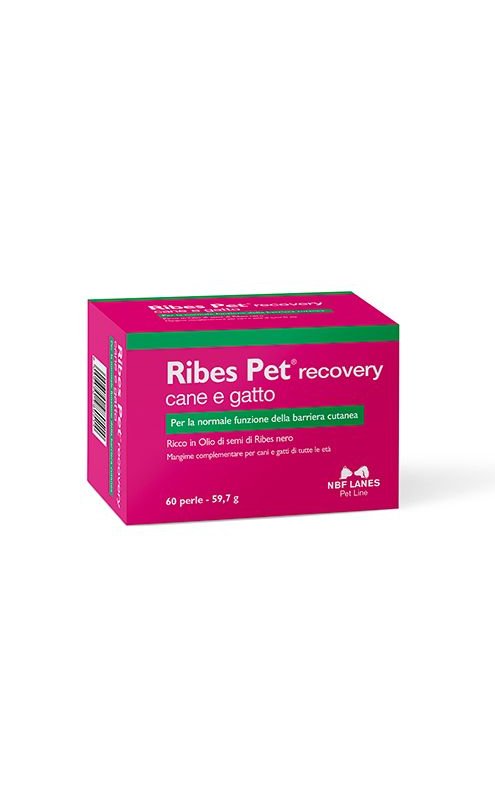 NBF Lanes Ribes Pet Recovery 60 perle