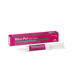 NBF Lanes Ribes Pet pasta 30g