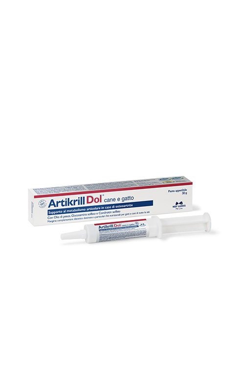 NBF Lanes Artikrill Dol pasta 30g