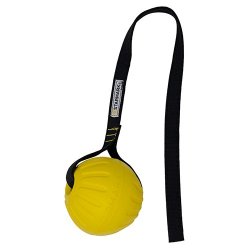 Starmark Gripcord Durafoam Ball palla addestramento cani