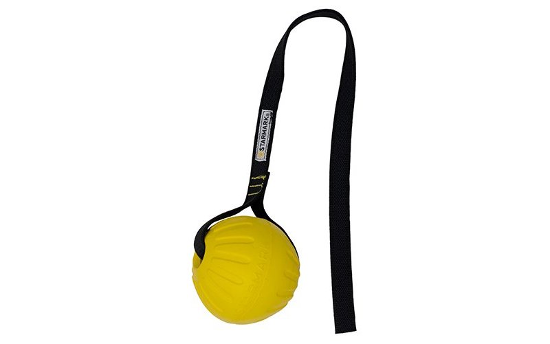 Starmark Gripcord Durafoam Ball palla addestramento cani