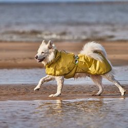 Hurtta Mudventure reflective giacca impermeabile per cani