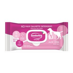 Inodorina Salviette detergenti EveryDay all'Aloe Vera 40pz