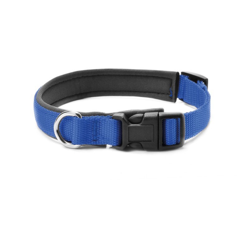 Record Collare Soft con neoprene  per cani
