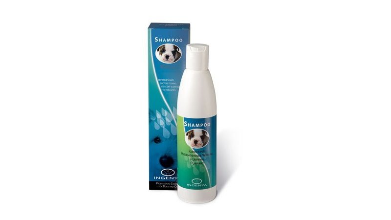 Ingenya Spray Antistatico Lucidante - AquaZooMania Shop