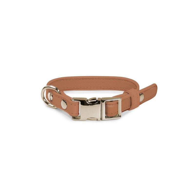 Record Collare London per cani - AquaZooMania Shop