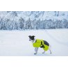 Axaeco 4 Season Collar collare cane alta visibilità