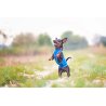 Axaeco 4 Season Collar collare cane alta visibilità