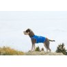 Axaeco 4 Season Collar collare cane alta visibilità