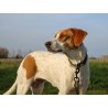Axaeco 4 Season Collar collare cane alta visibilità