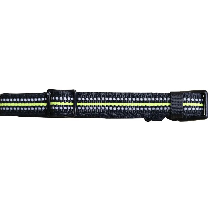 Axaeco 4 Season Collar collare cane alta visibilità