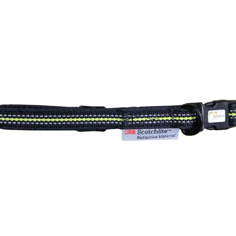 Axaeco 4 Season Collar collare cane alta visibilità