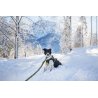 Axaeco 4 Season Elastic Leash guinzaglio elastico alta visibilità
