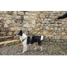 Axaeco 4 Season Elastic Leash guinzaglio elastico alta visibilità