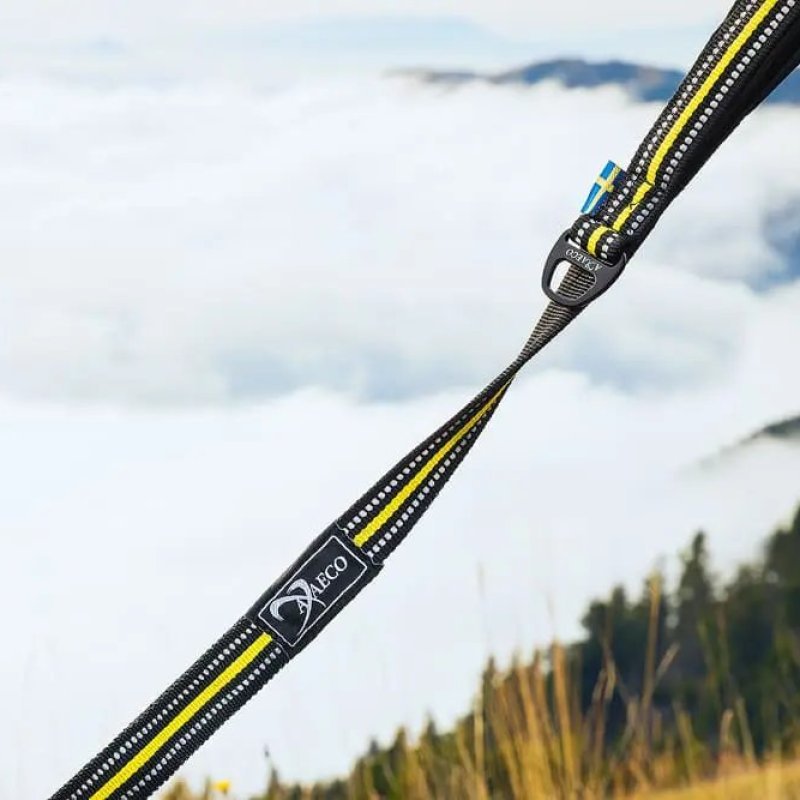 Axaeco 4 Season Elastic Leash guinzaglio elastico alta visibilità