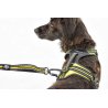 Axaeco 4 Season Elastic Leash guinzaglio elastico alta visibilità