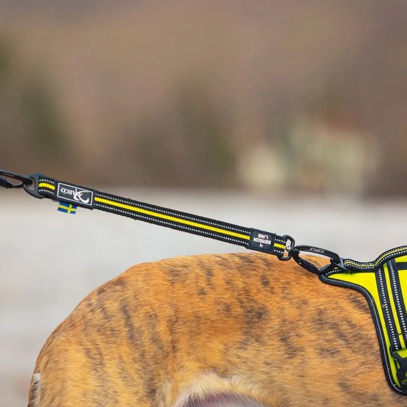 Axaeco 4 Season Bungee Cord prolnga elastica per guinzaglio