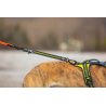 Axaeco 4 Season Bungee Cord prolnga elastica per guinzaglio