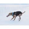 Axaeco Half-Choke Collar Blue collare semi strozzo