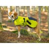 Axaeco Half-Choke Collar Blue collare semi strozzo