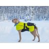 Axaeco Half-Choke Collar Blue collare semi strozzo