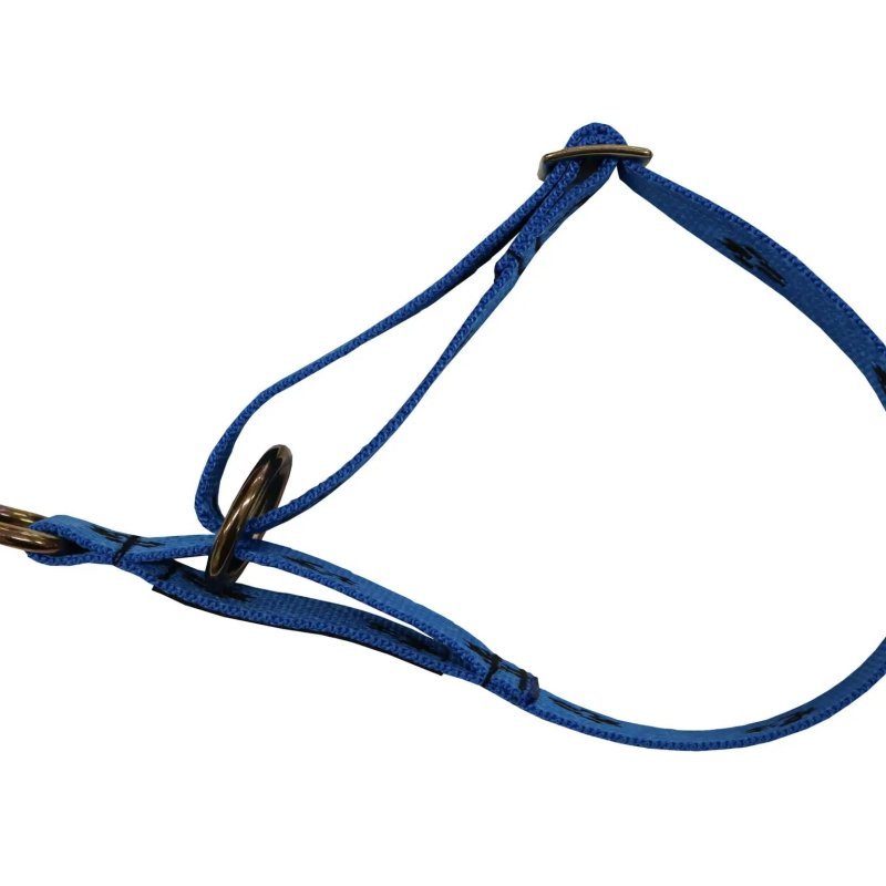 Axaeco Half-Choke Collar Blue collare semi strozzo