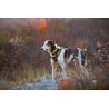 Axaeco 4 Season Harness Broad Peak pettorina antifuga