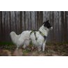 Axaeco 4 Season Harness Broad Peak pettorina antifuga