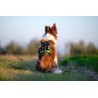 Axaeco 4 Season Harness Broad Peak pettorina antifuga