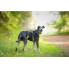 Axaeco 4 Season Harness Broad Peak pettorina antifuga