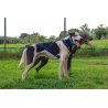 Axaeco X Shirt Harness 2.0 Blue imbracatura per sleddog e canicross