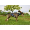 Axaeco X Shirt Harness 2.0 Blue imbracatura per sleddog e canicross