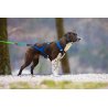 Axaeco X Shirt Harness 2.0 Blue imbracatura per sleddog e canicross