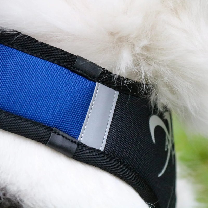 Axaeco X Shirt Harness 2.0 Blue imbracatura per sleddog e canicross